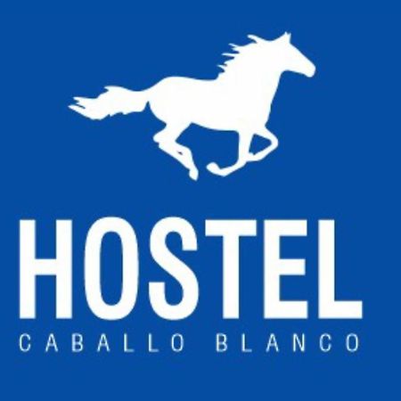 Hostal El Caballo Blanco 4-20 Cartagena Exterior foto